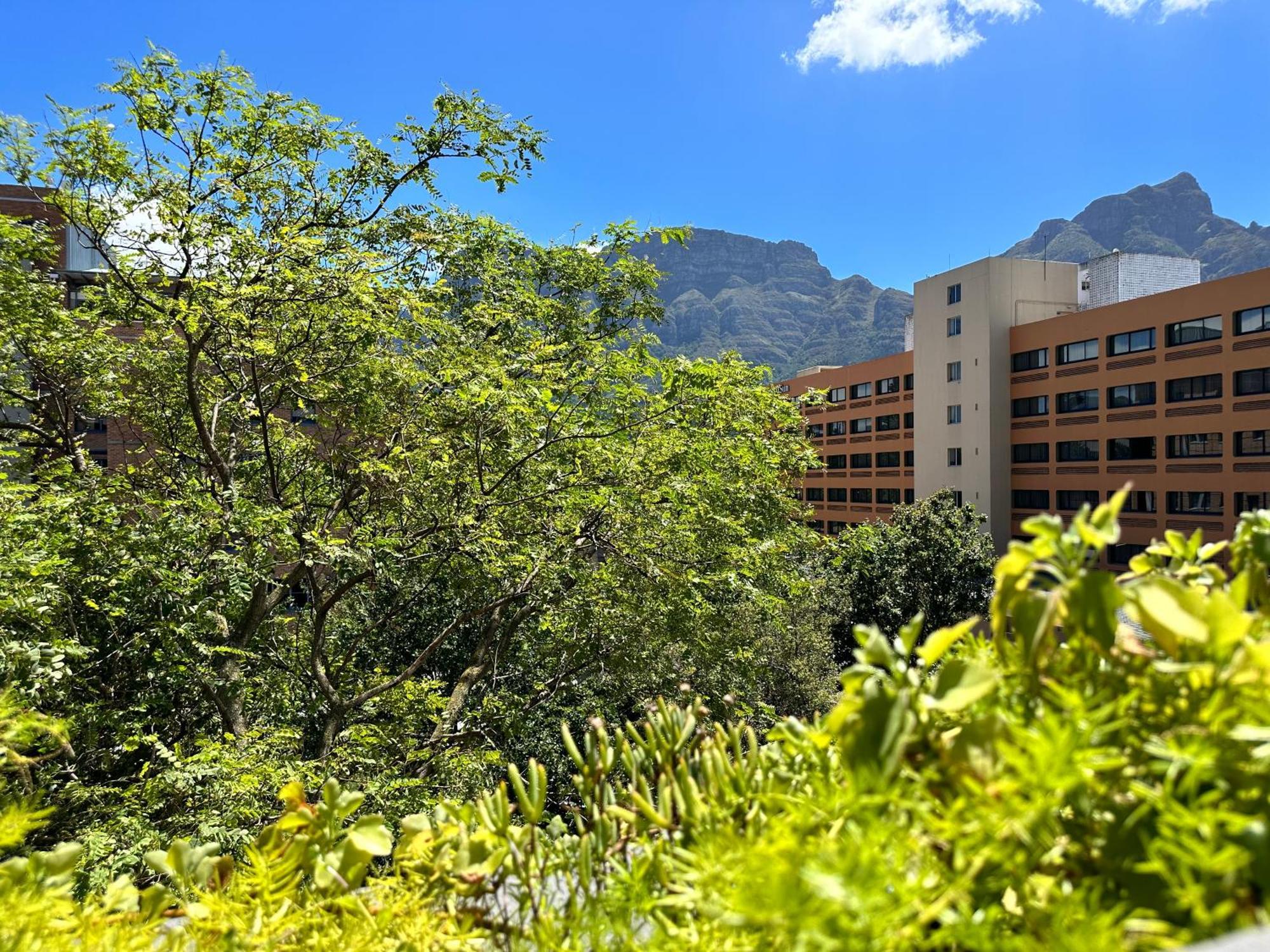 Newlands Peak Apartments Kapstaden Eksteriør billede